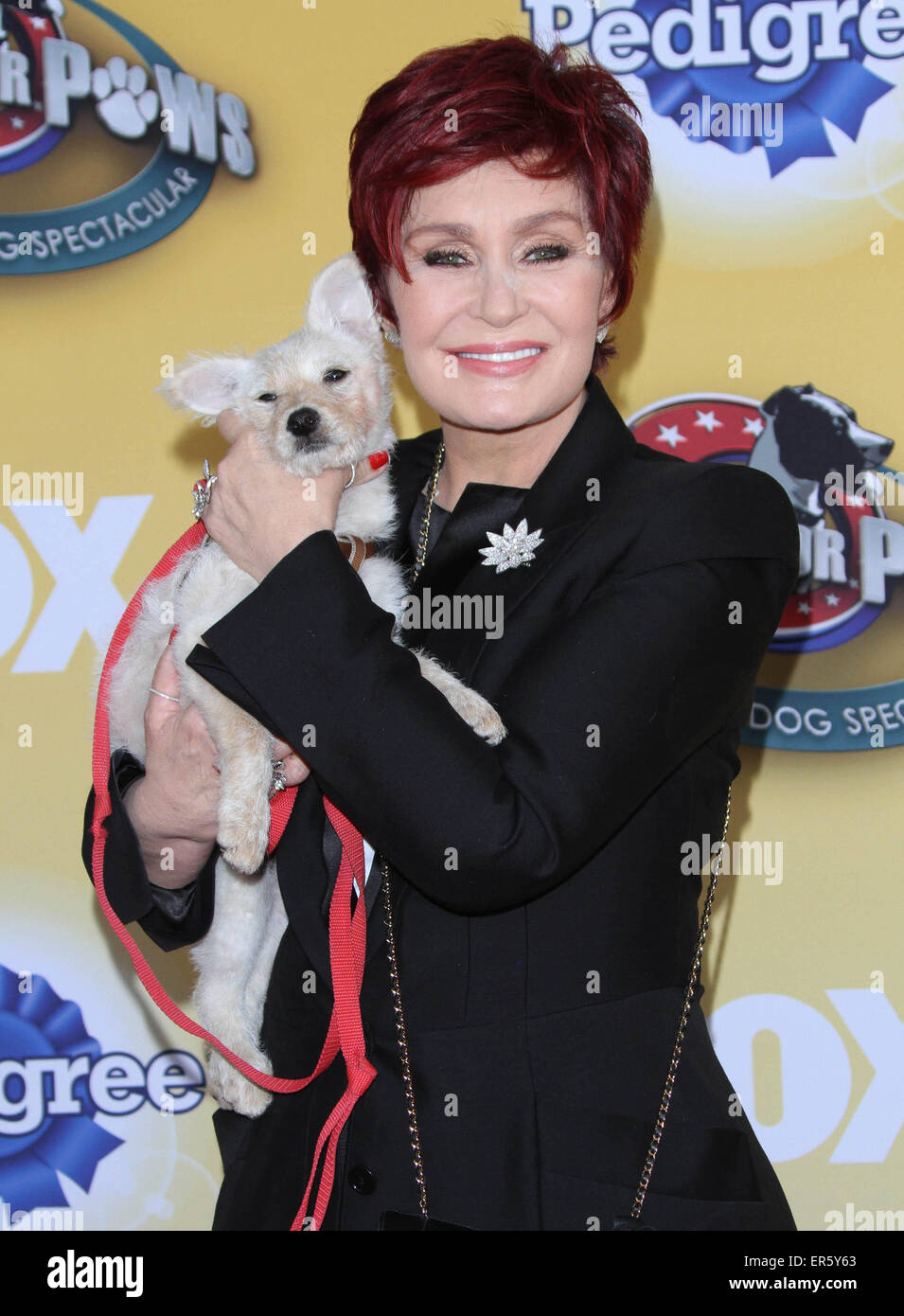 FOX’s Cause For Paws An AllStar Dog Spectacular held at Barker Hangar