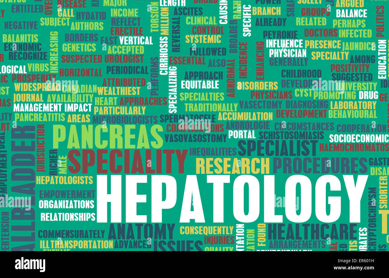 Hepatology or Hepatologist Medical Field Specialty As Art Stock Photo