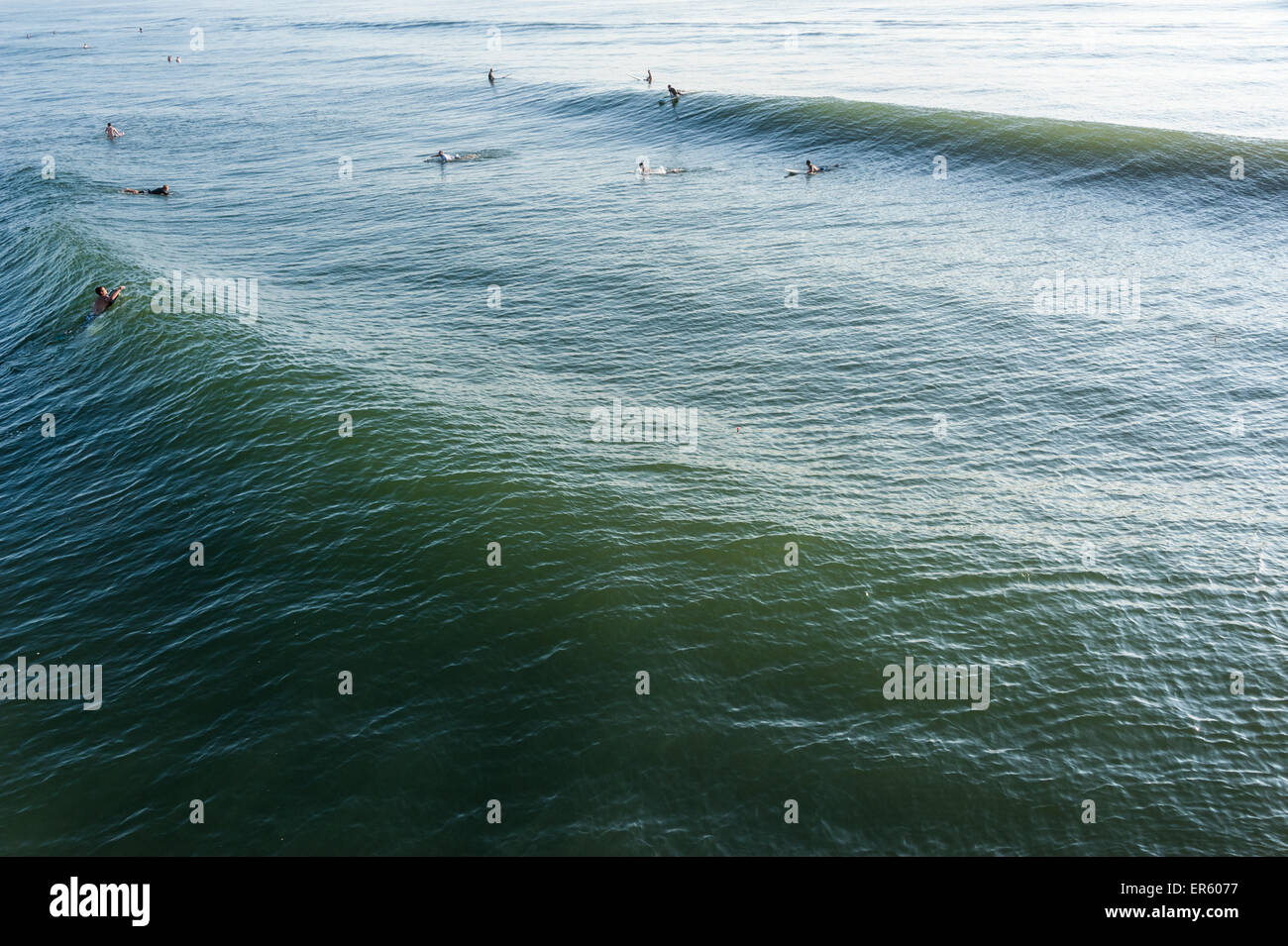 Jacksonville Beach, Florida surfers enjoying the early morning swells next to the Jacksonville Beach Pier just after sunrise. Stock Photo