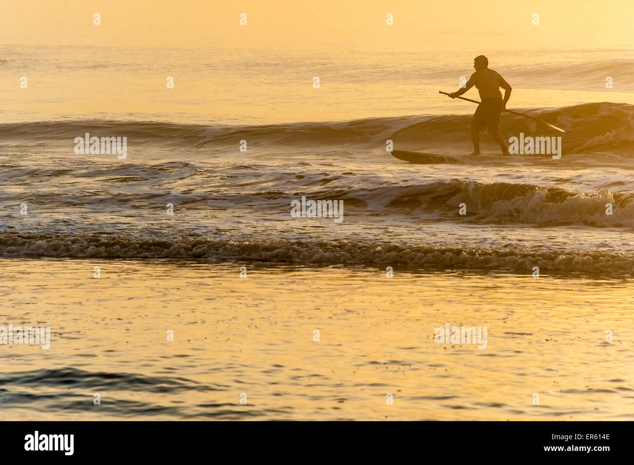 Stand up paddleboarder surfing 'dawn patrol' at Ponte Vedra Beach near Jacksonville, Florida, USA. Stock Photo