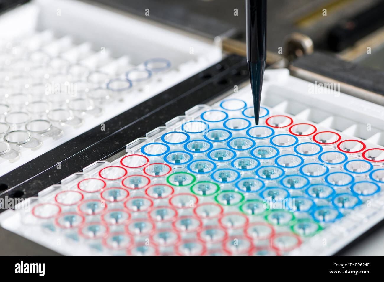 Small capillary tubes, sorted in a white rack, enzyme immunoassay examination, EIA, Chemnitz, Saxony, Germany Stock Photo