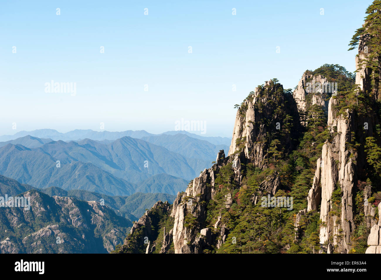 Towering granite rocks overgrown with Huangshan pines (Pinus hwangshanensis), Mount Huangshan, Huang Shan, Anhui Province, China Stock Photo