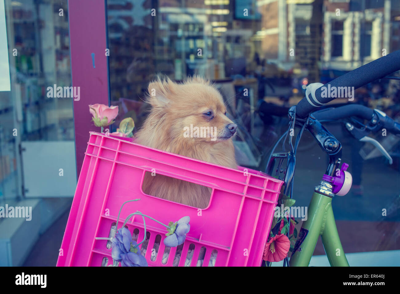 Bike crate hi res stock photography and images Alamy