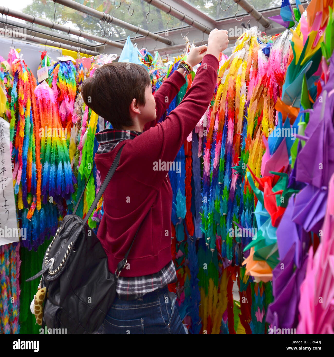 Teenage girl places paper origami cranes into the display at Hiroshima Children's Peace memorial. Stock Photo