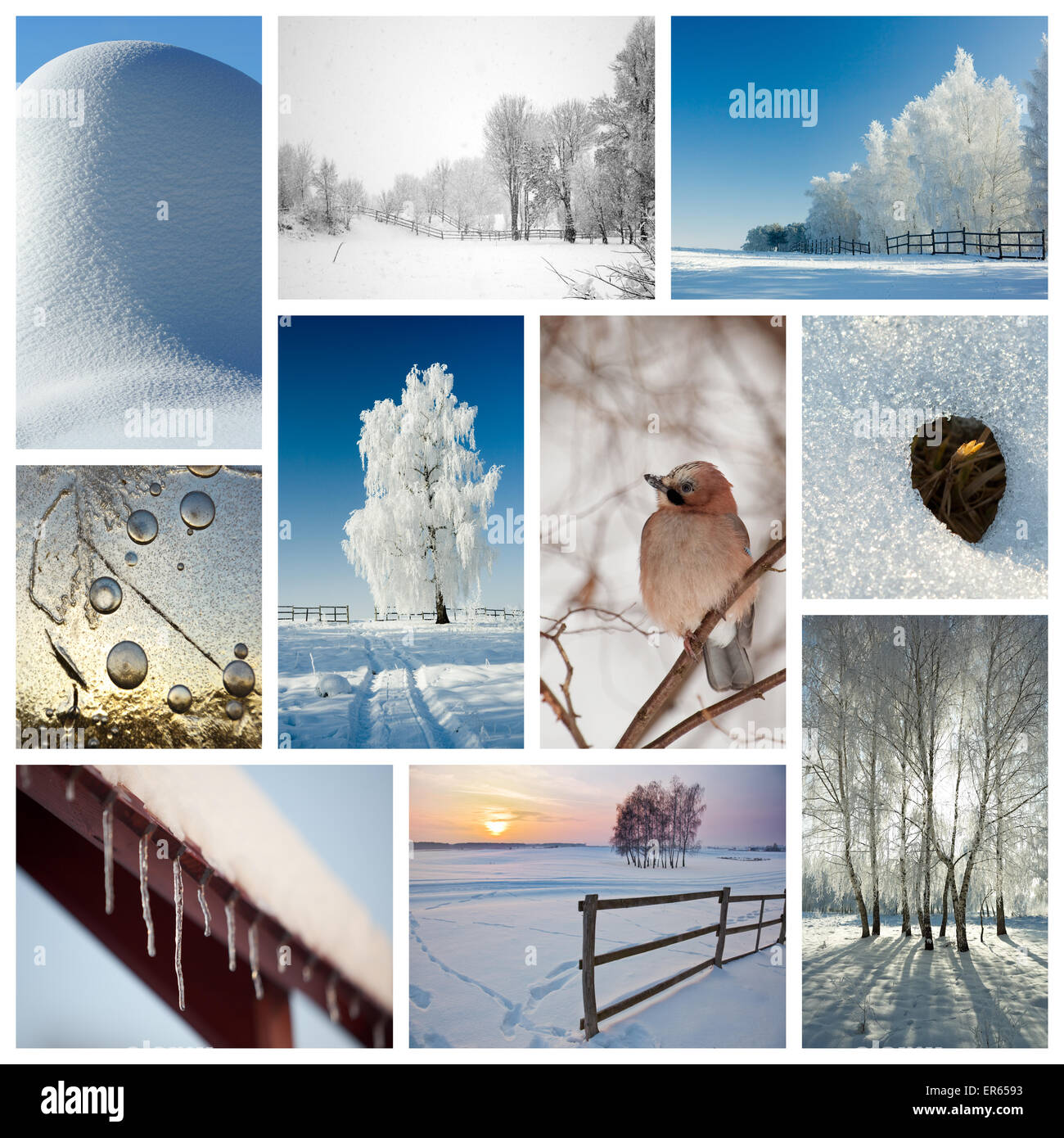 Winter collage representing various season-related nature scenics Stock Photo
