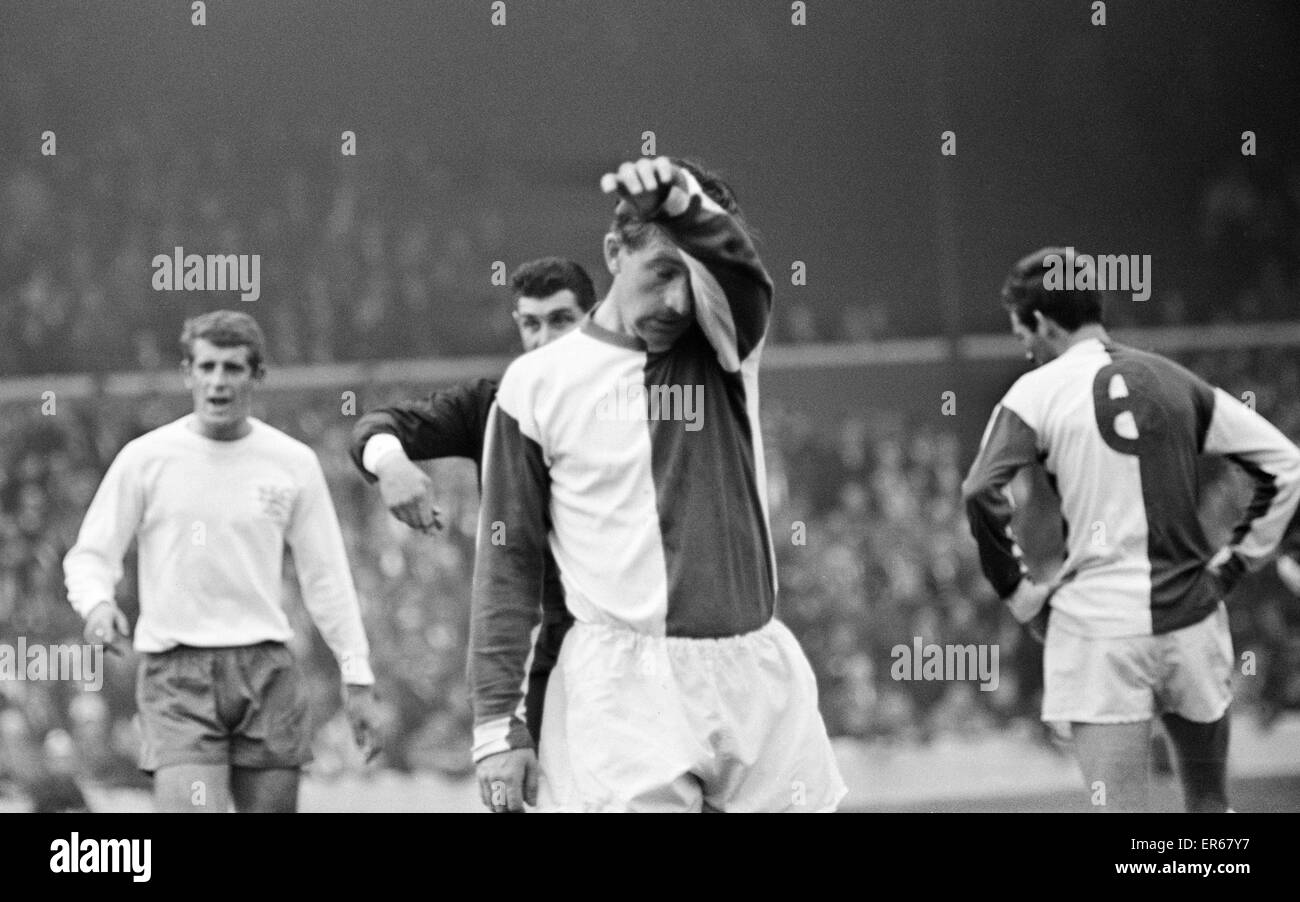 English League Division Two match at Ewood Park. Blackburn Rovers 2 v Bury 1. A weary Bryan Douglas of  Blackburn after hitting the ground so much.  8th October 1966. Stock Photo