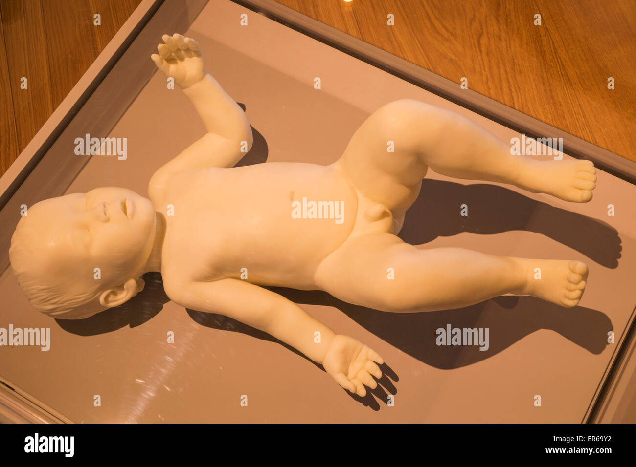 England, London, The Wellcome Collection, The Reading Room, Wax Figure of a Baby titled "Free" by Marc Quinn 2005 Stock Photo