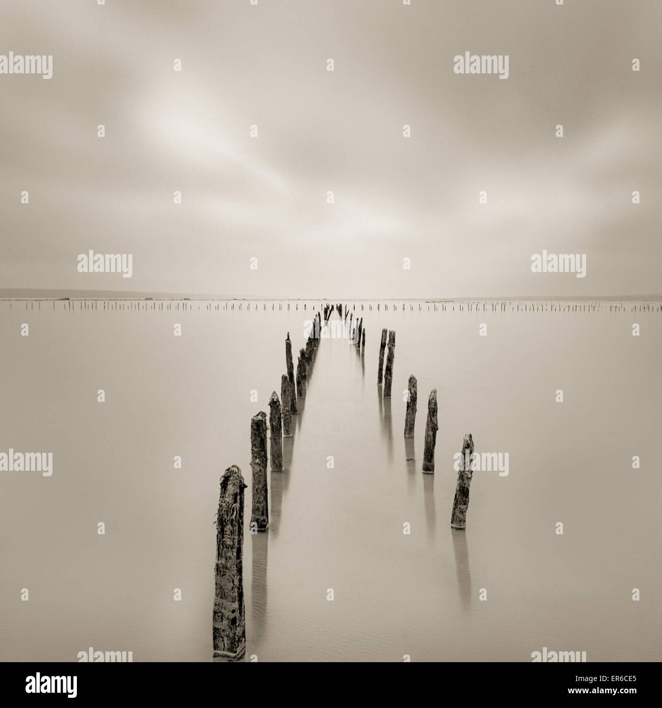 Poles in the water - calmness and silence concept Stock Photo