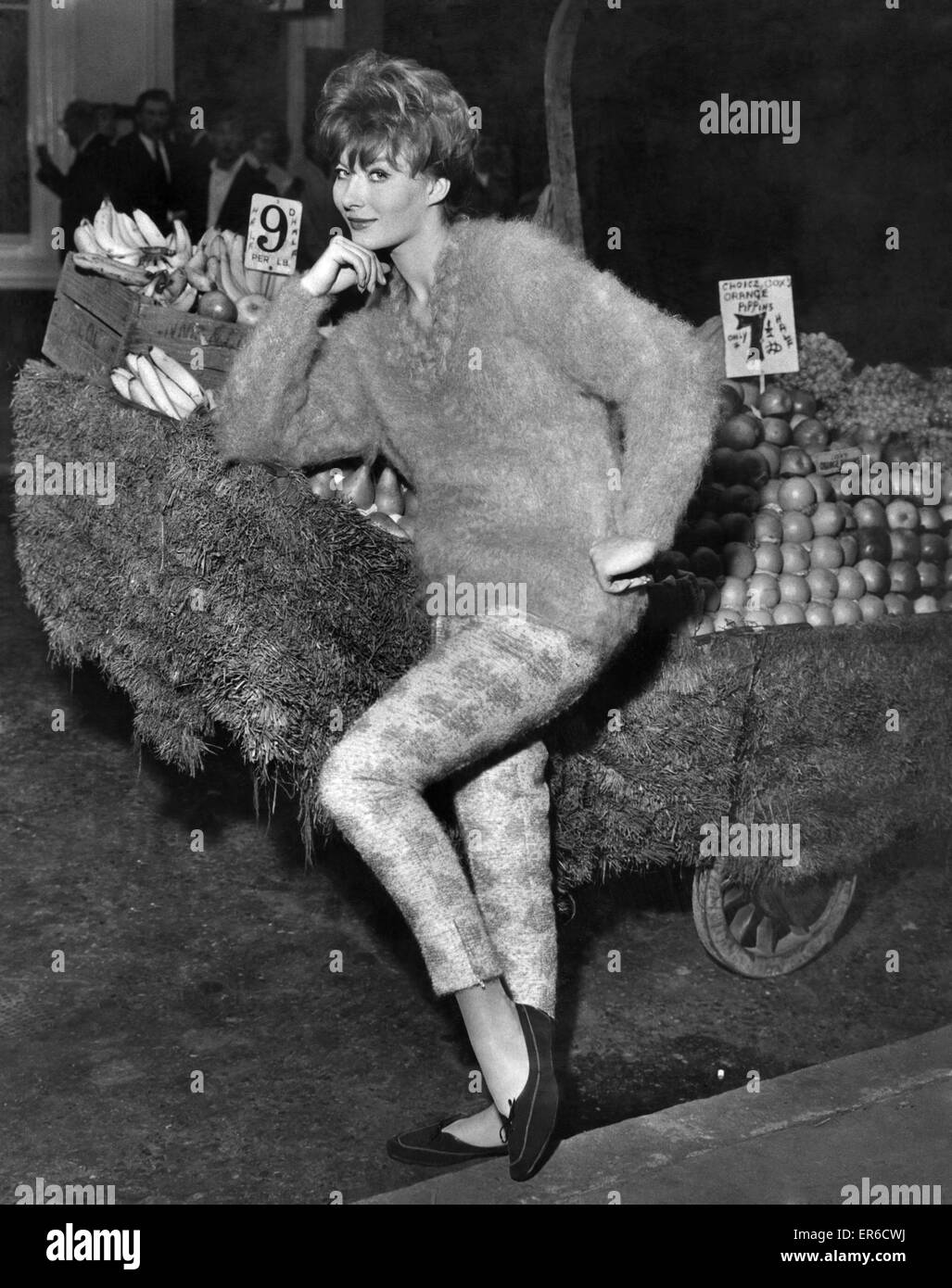 Clothing Fashion 1958: Liese Deniz in a lilac brushed wool mohair sweater with beautiful plaited neckline. Prince twelve guineas. Her slacks are in an Italian poodle mohair, cut in a simple line to show to advantage. Prince eleven guineas. October 1958 P0 Stock Photo