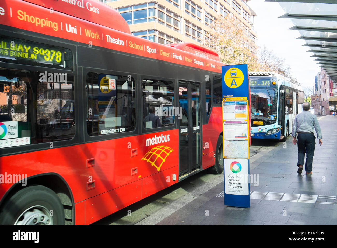 Sydney bus at a stop in Broadway near central railway station,sydney