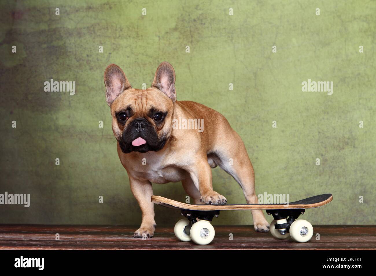 French skateboarding hi-res stock photography and images - Alamy