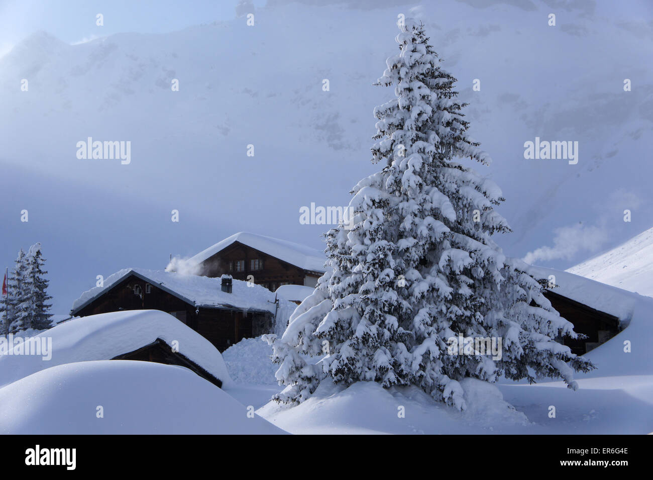 Alp Blumental above resort town Mürren, Bernese alsp Switzerland Stock Photo