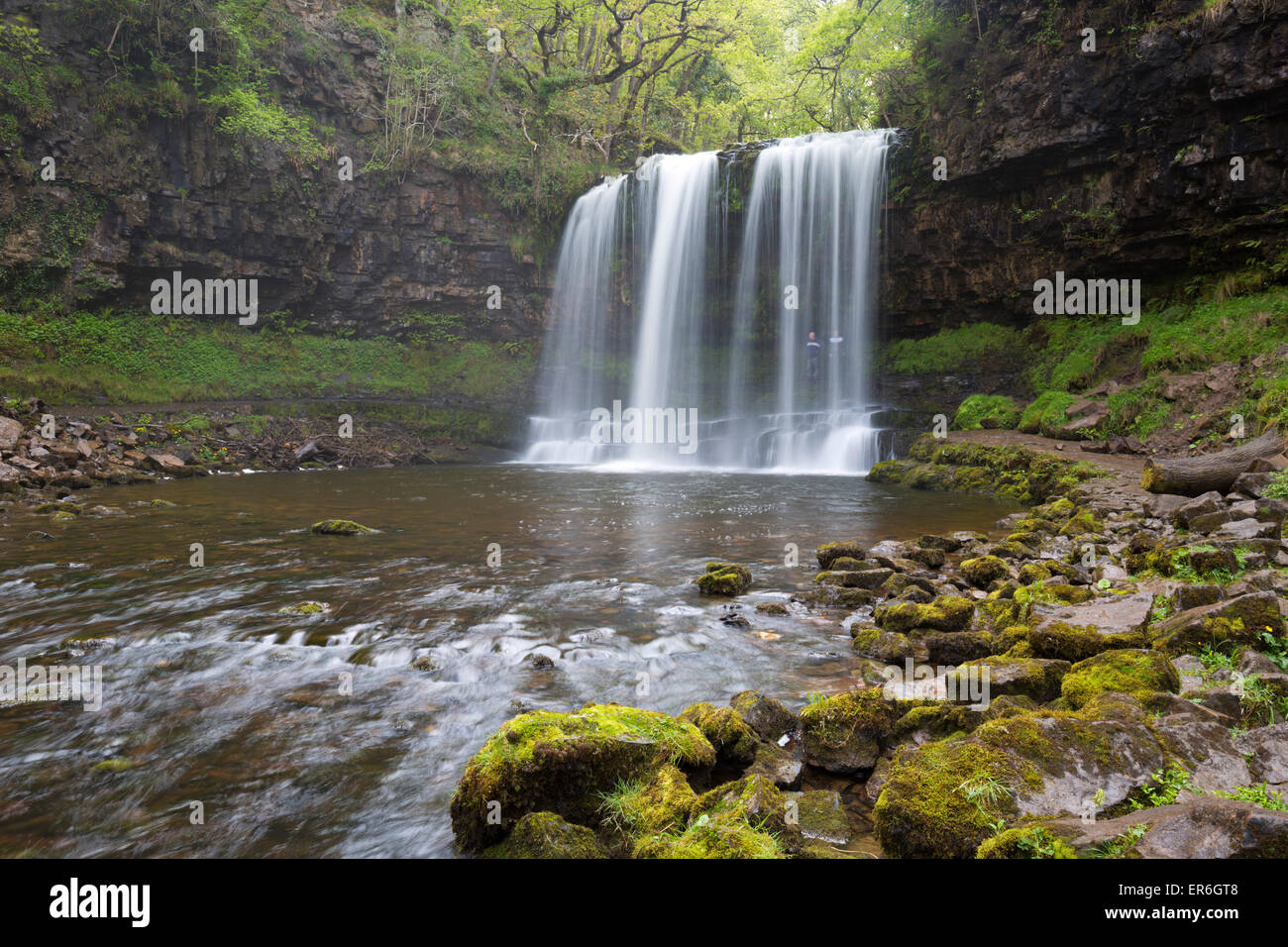 Sgwd yr Eira waterfall, Ystradfellte, Brecon Beacons National Park, Powys, Wales, United Kingdom, Europe Stock Photo