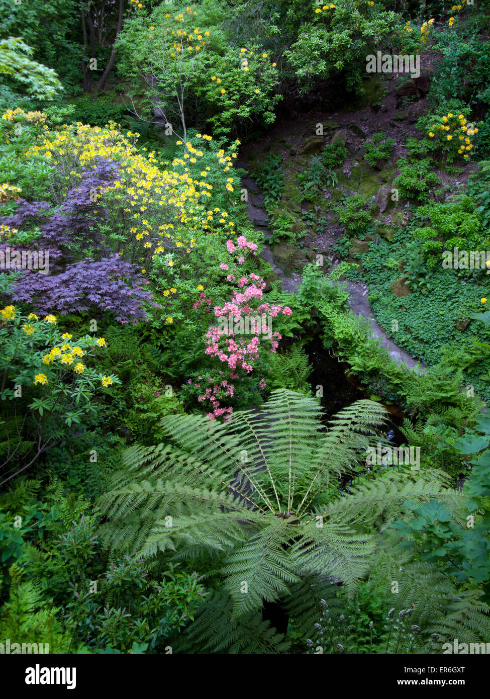 Standen house and garden hires stock photography and images Alamy
