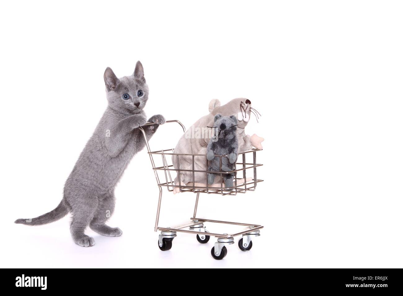 Russian toys hires stock photography and images Alamy