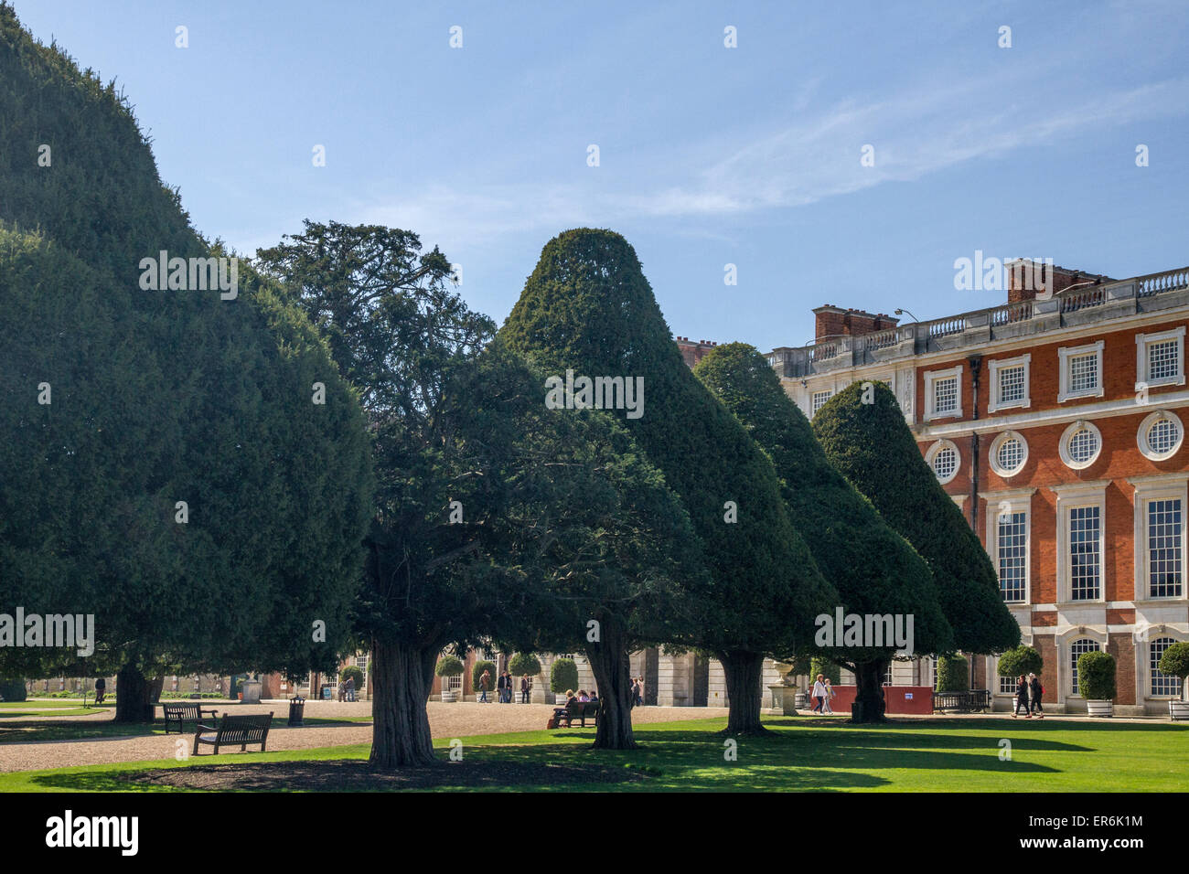 Avenue of trees at Hampton Court Palace Richmond England Stock Photo
