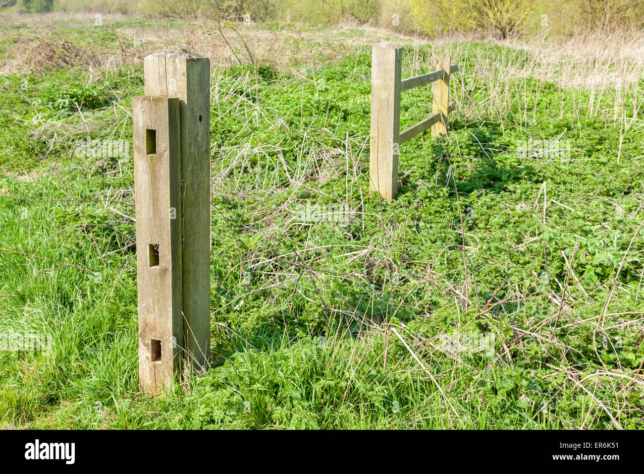 Old broken fence in an overgrown field with a patch of common stinging