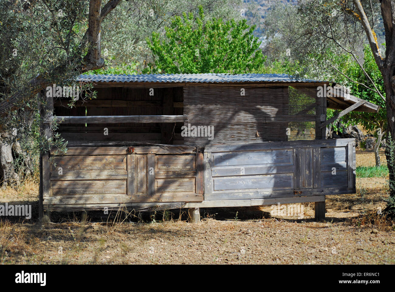 Rustic chicken coup made from old doors on a Greek Island, Greece Stock Photo