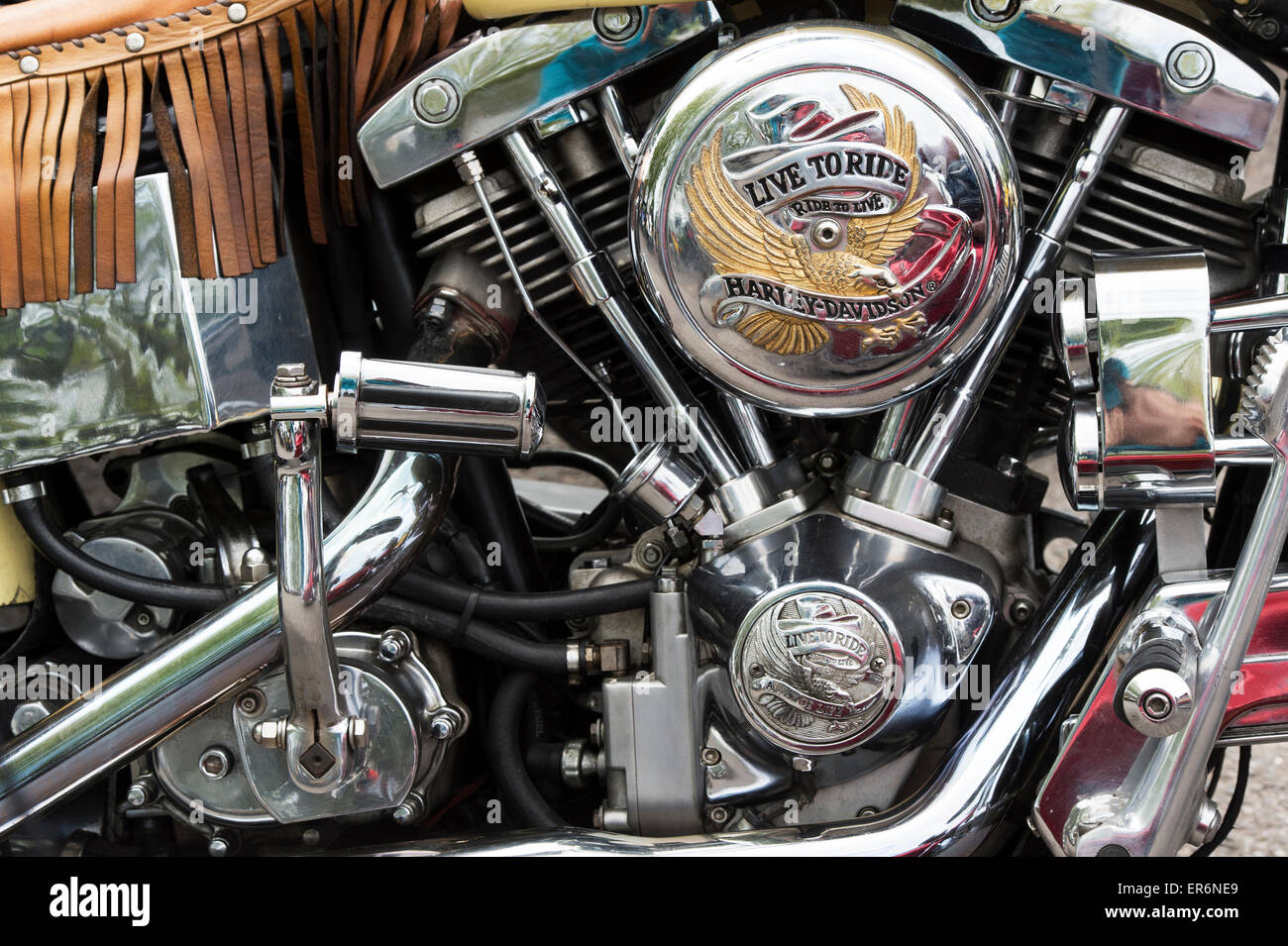 hd shovelhead engine