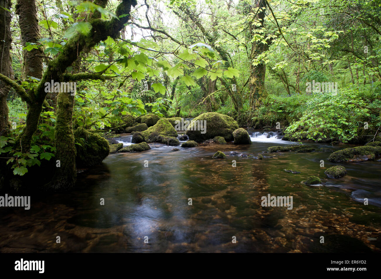 Afon brynberian river hires stock photography and images Alamy