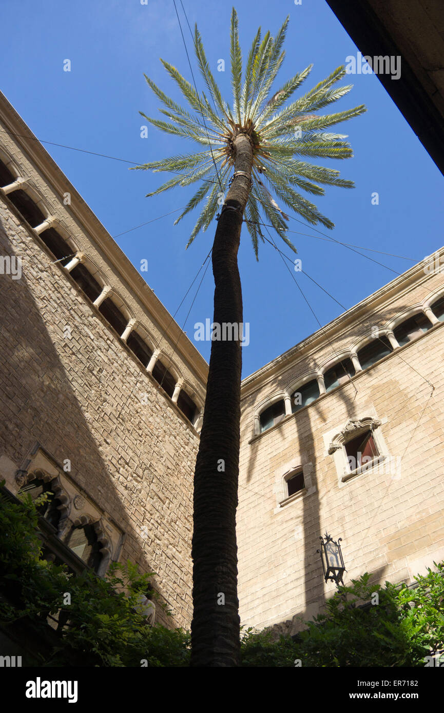 Central courtyard with palm tree in Barcelona, Spain Stock Photo