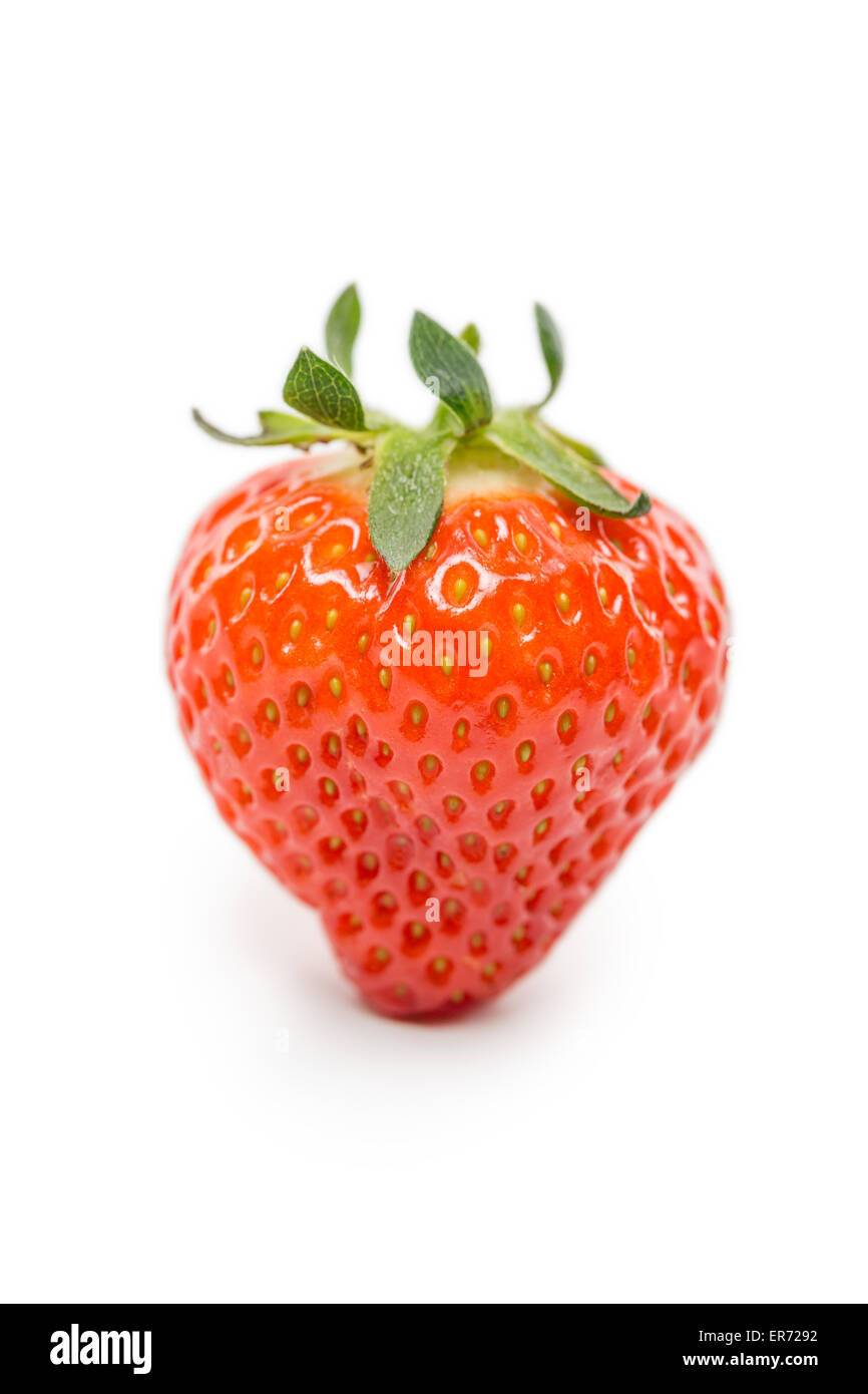 Closeup of a Single Strawberry isolated on white backgound Stock Photo