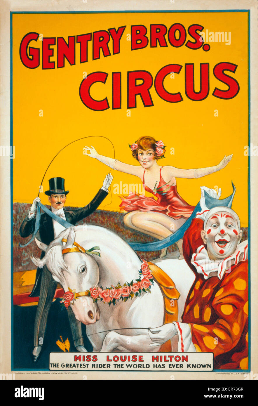 Gentry Bros. circus Miss Louise Hilton, the greatest rider the world has ever known . Circus poster showing Louise Hilton perched on a white horse, about to leap over a scarf held by a clown and a ringmaster. Date between 1920 and 1940. Stock Photo