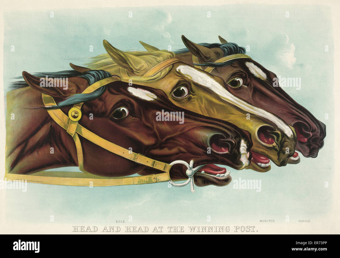 Head and head at the winning post Stock Photo