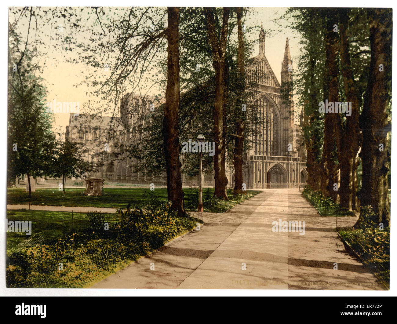 Cathedral and avenue, Winchester, England Stock Photo Alamy
