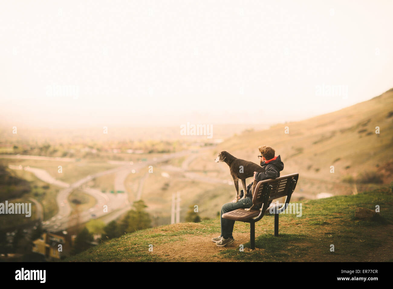 A man and his dog sit on a bench overlooking sunset of a city. Stock Photo