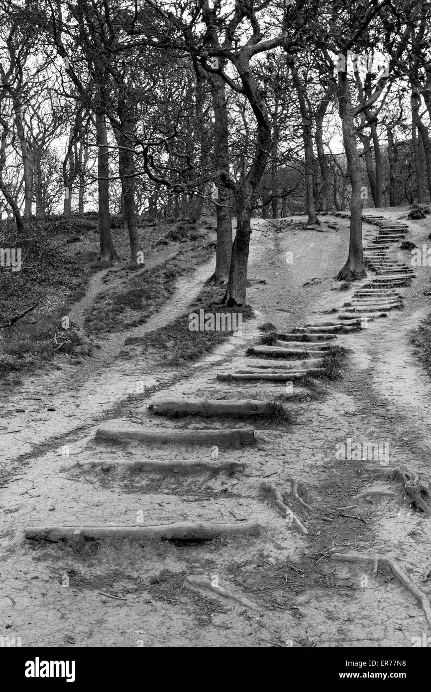 Trail summit Black and White Stock Photos & Images - Alamy