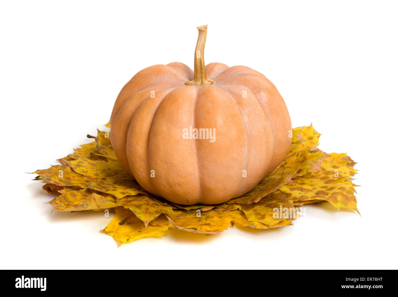 pumpkin and autumn leaves on a white Stock Photo - Alamy