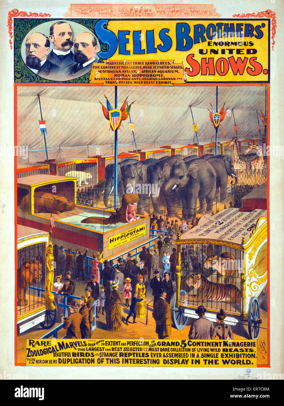 Sells Brothers' enormous united shows - Rare zoological marv Stock Photo