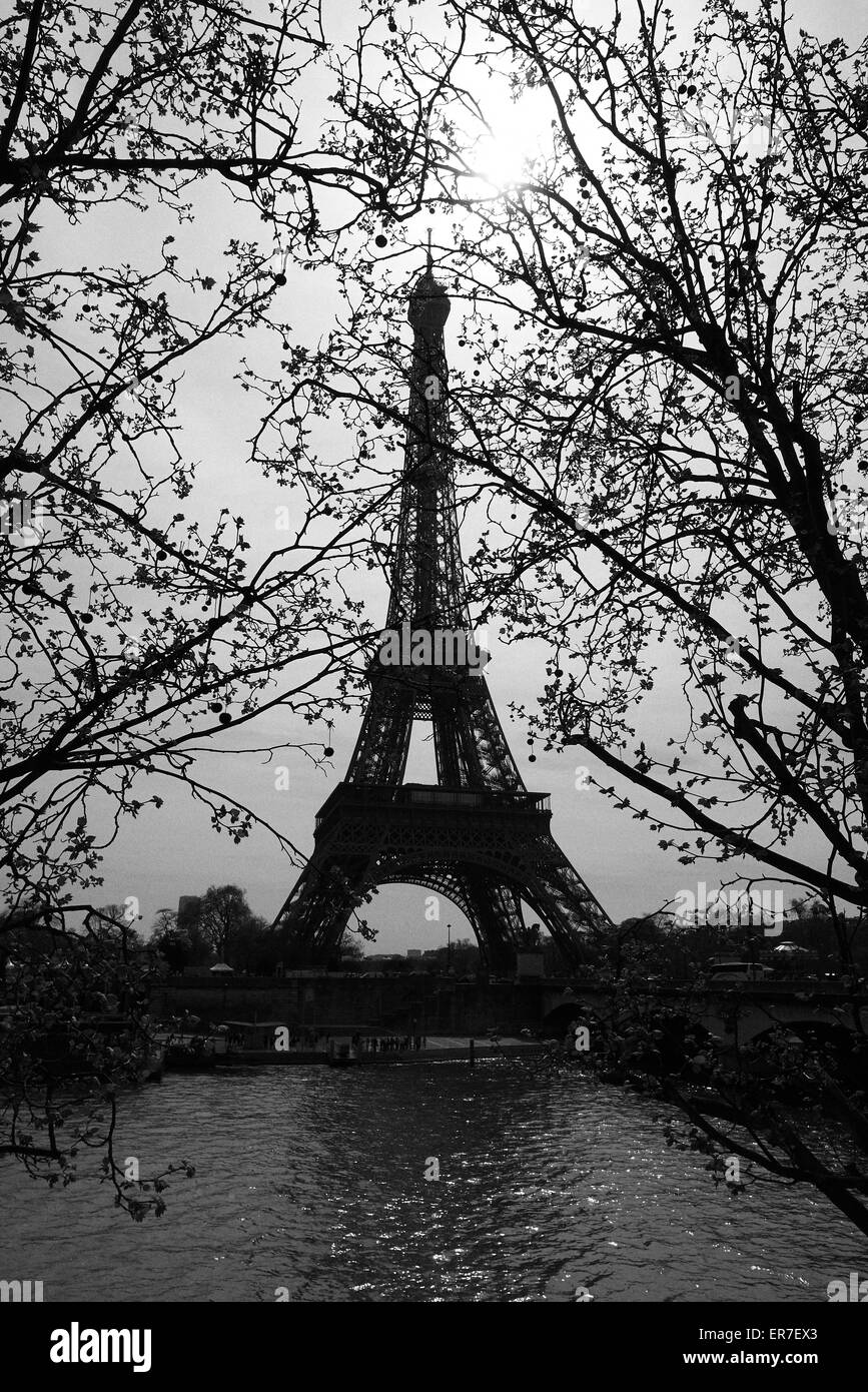 black & white image of the 'Eiffel tower' - Paris, France Stock Photo