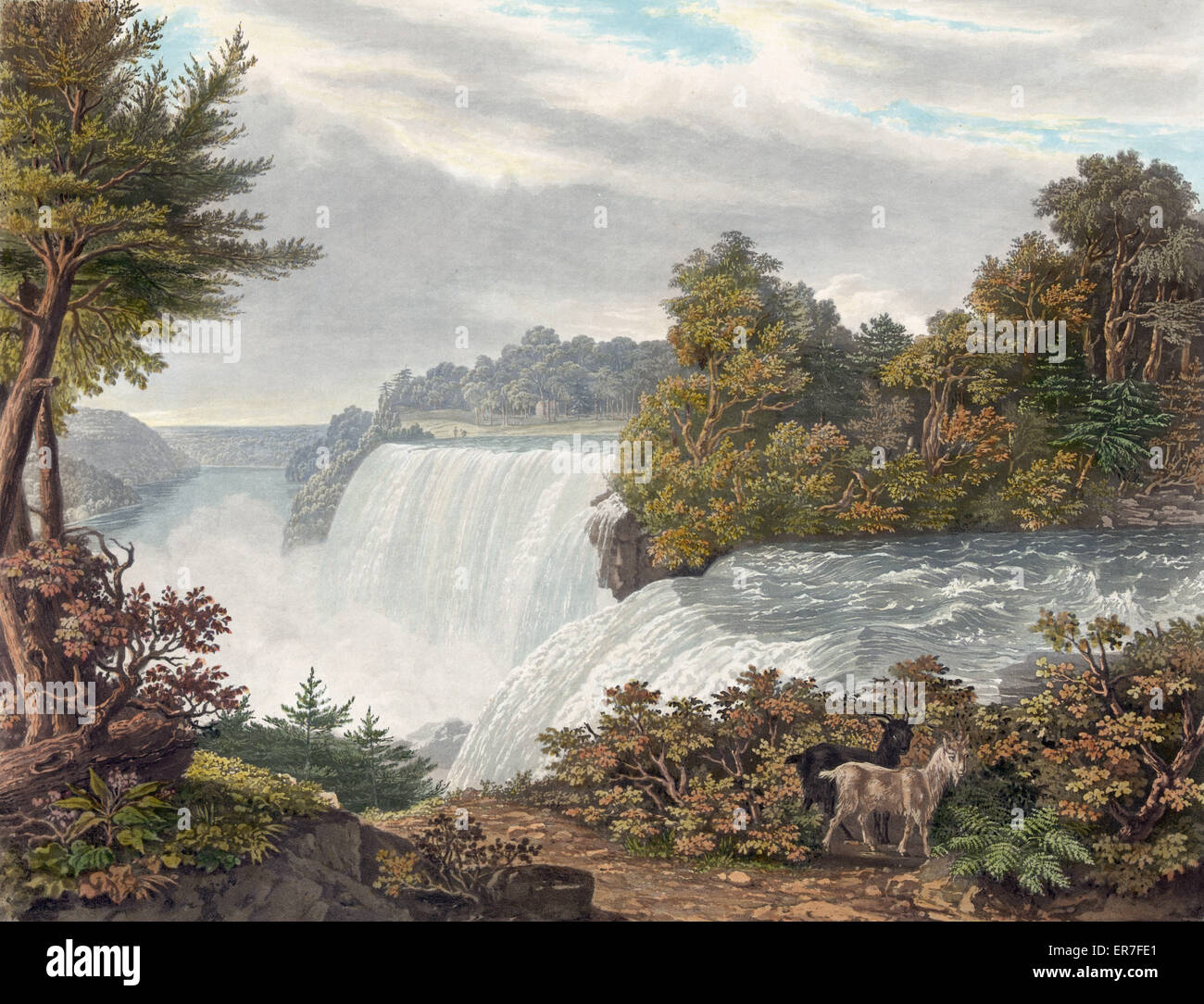 Goat falls hi-res stock photography and images - Alamy