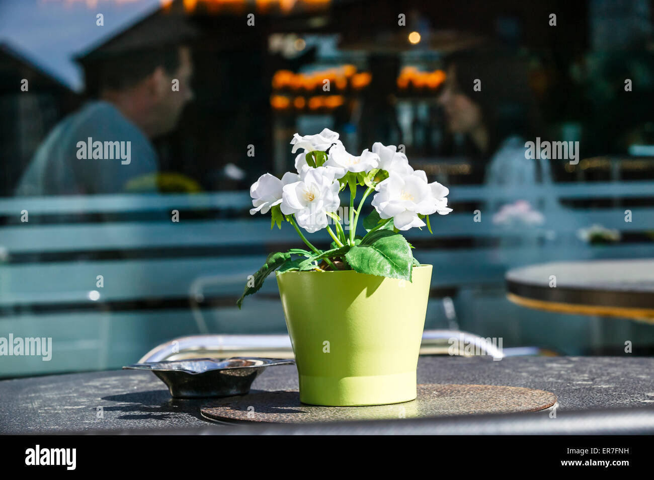 Artificial Plant in Green Plant Pot Granary Wharf Leeds set against