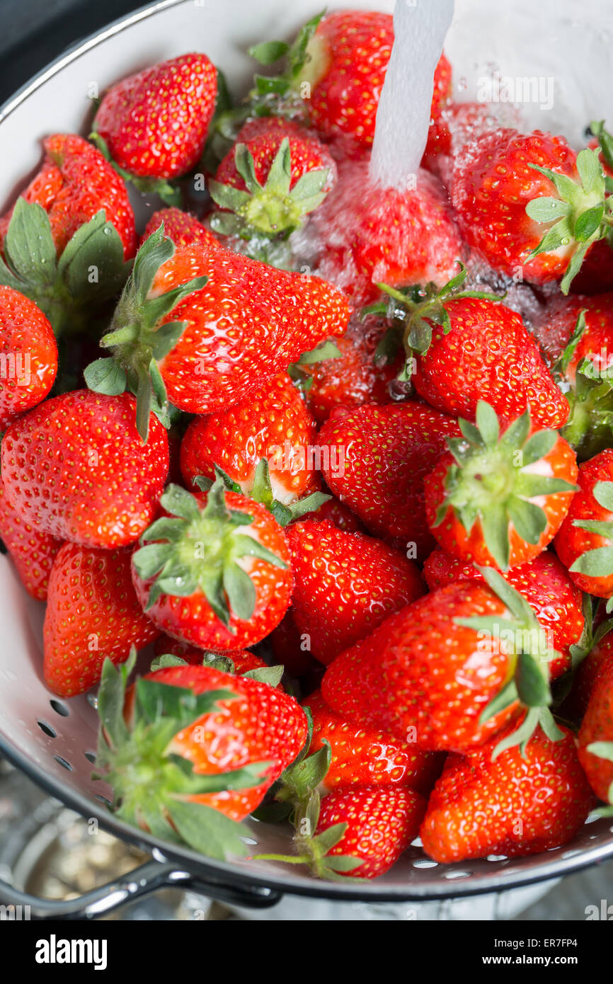 Cleaning Strawberries in a sink in a white sieve Stock Photo