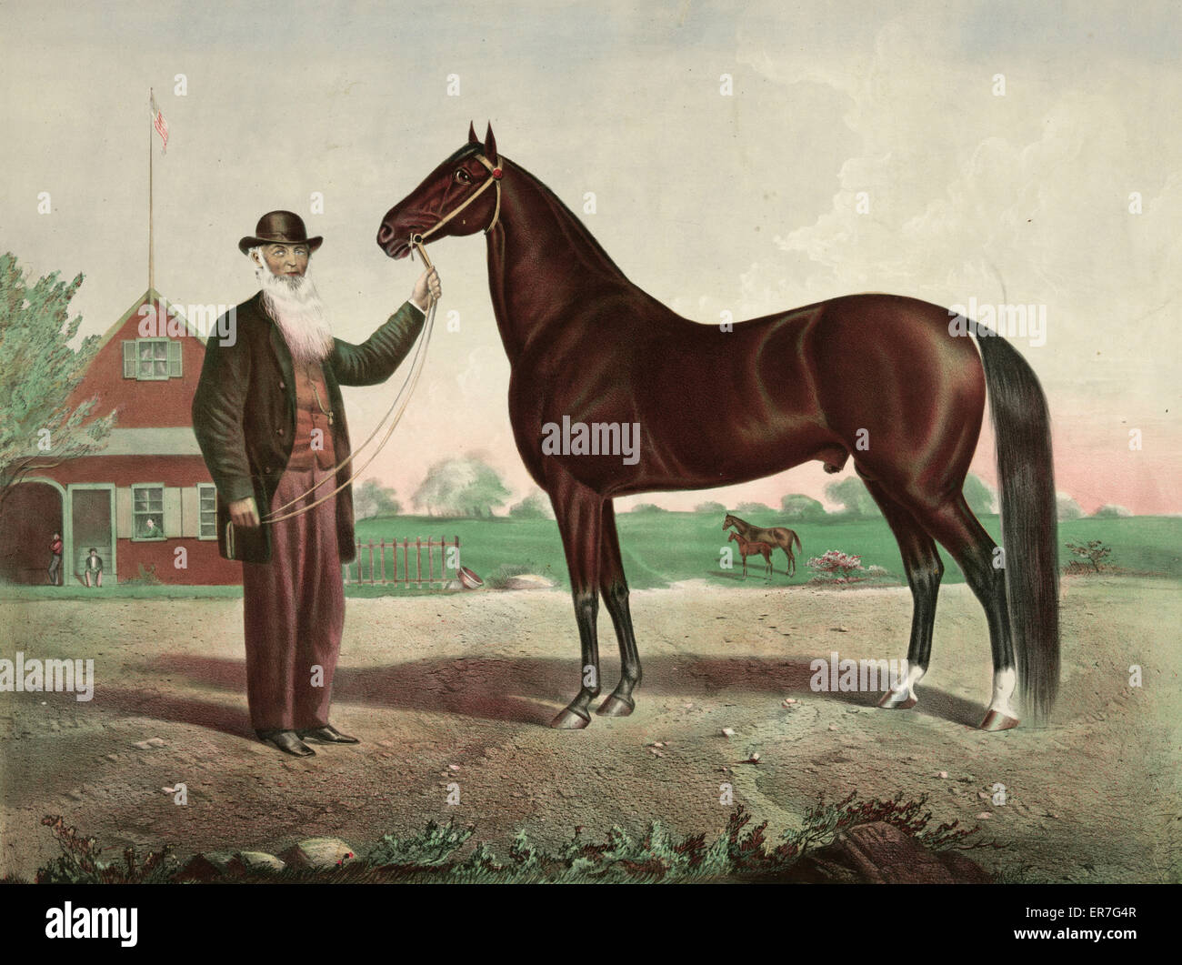 Hambletonian hires stock photography and images Alamy