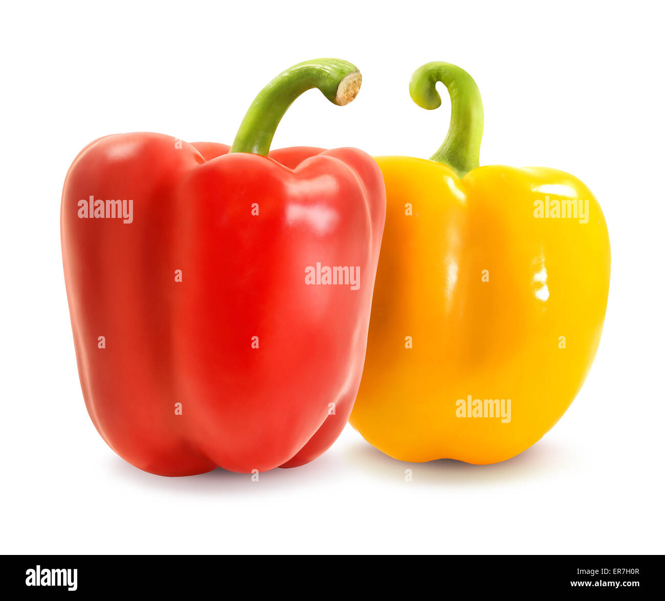 Two red and yellow pepper photographed close-up on a white background Stock Photo
