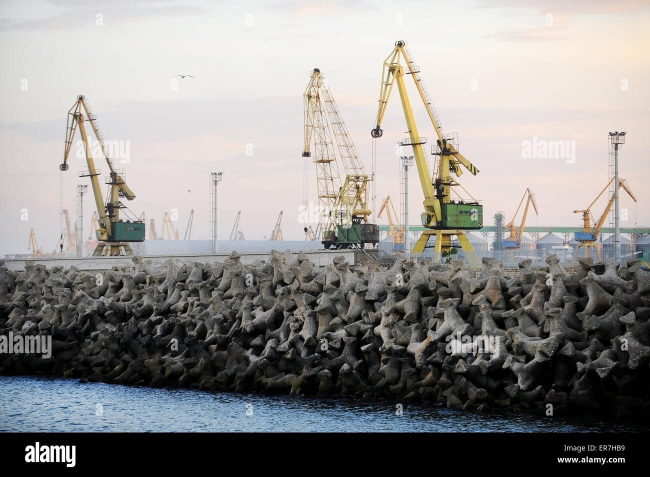 Industrial port with shipping cranes at sunset Stock Photo