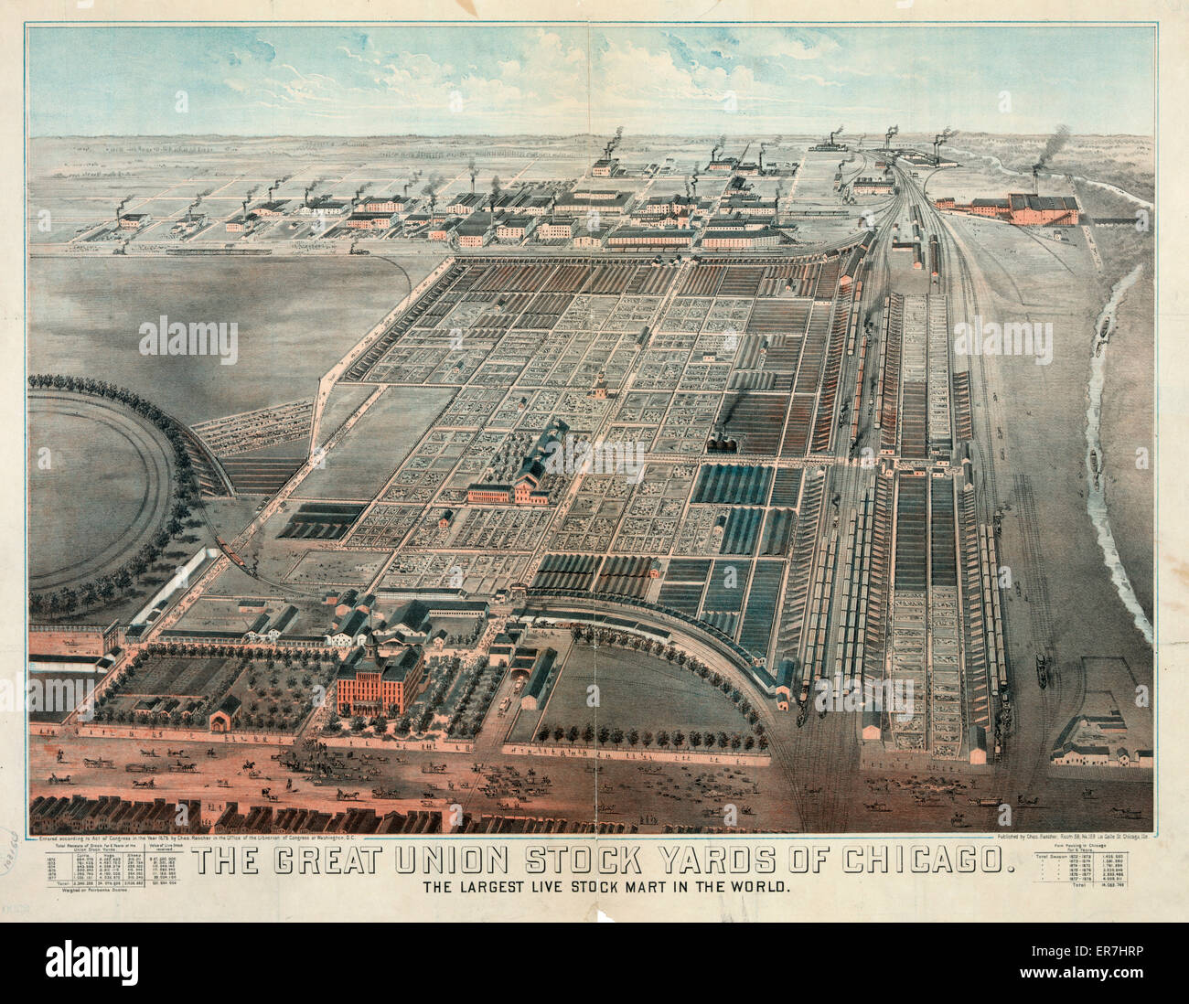 The Great Union Stock Yards of Chicago. The largest live sto Stock