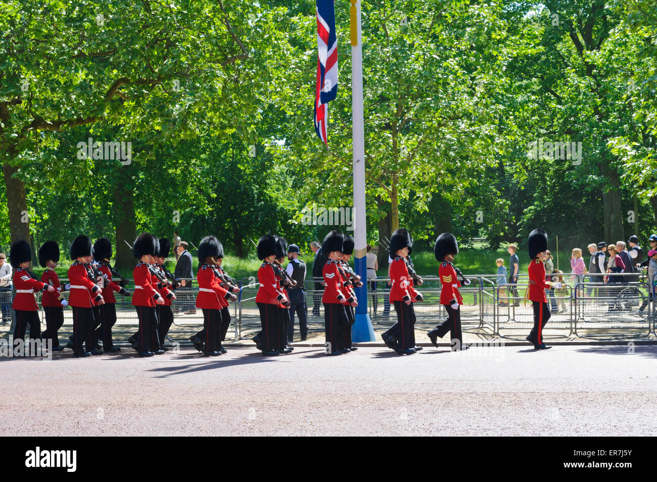 Armed Queen's Guards on sentry duties during the Queen procession