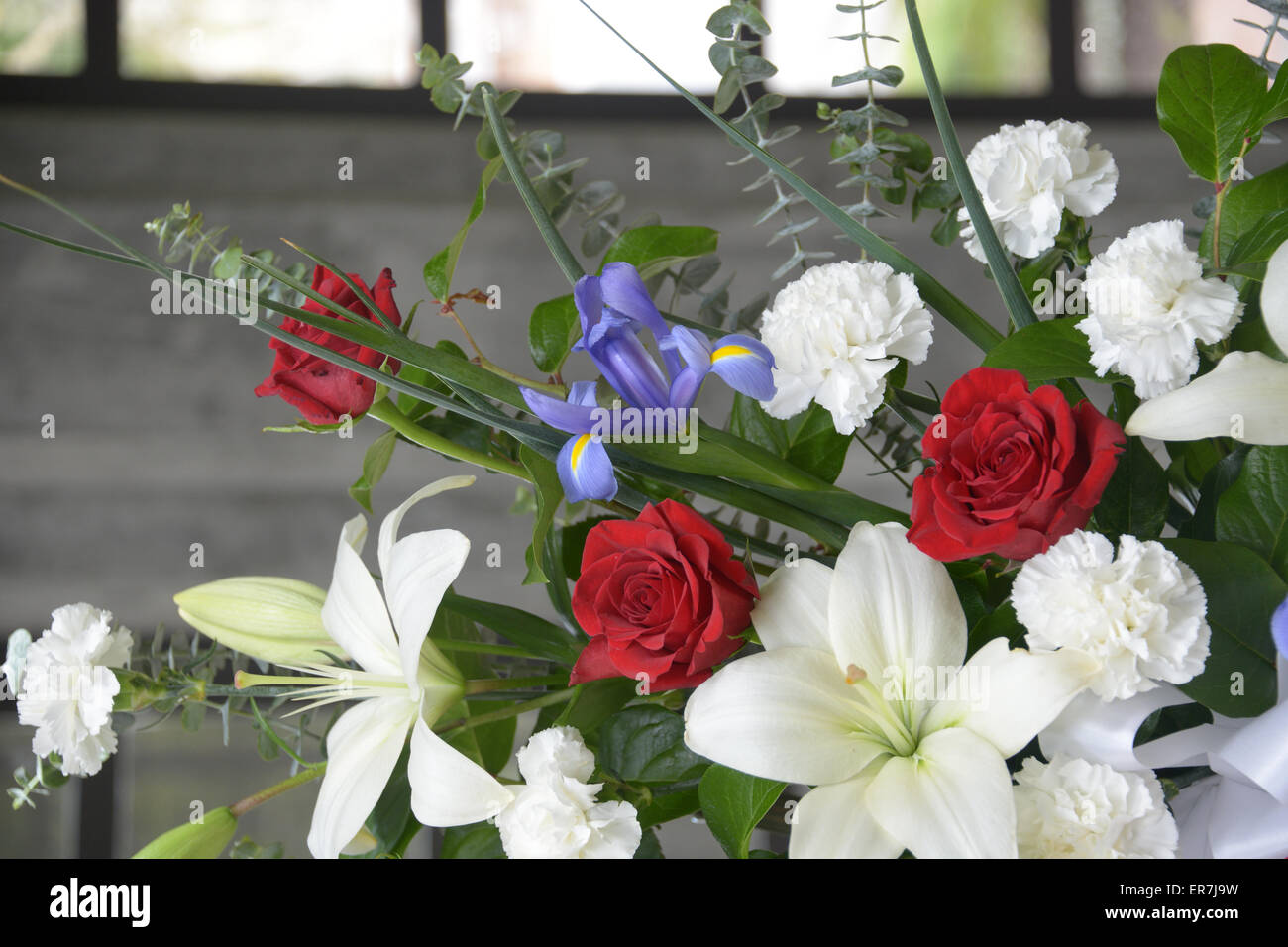 Oregon usa flower hires stock photography and images Alamy