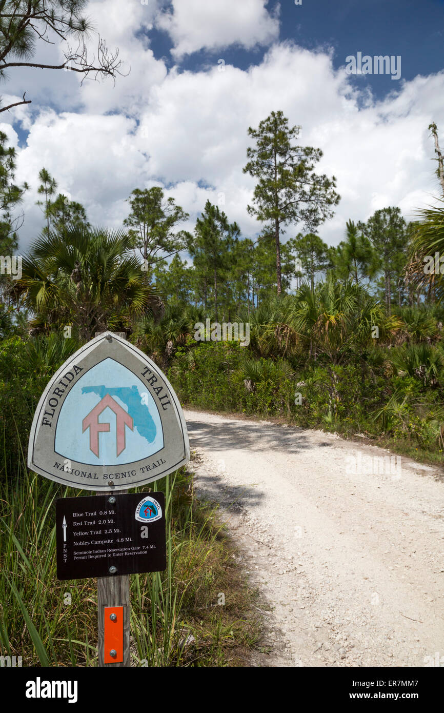Big Cypress National Preserve, Florida - A section of the Florida National Scenic Trail. Stock Photo