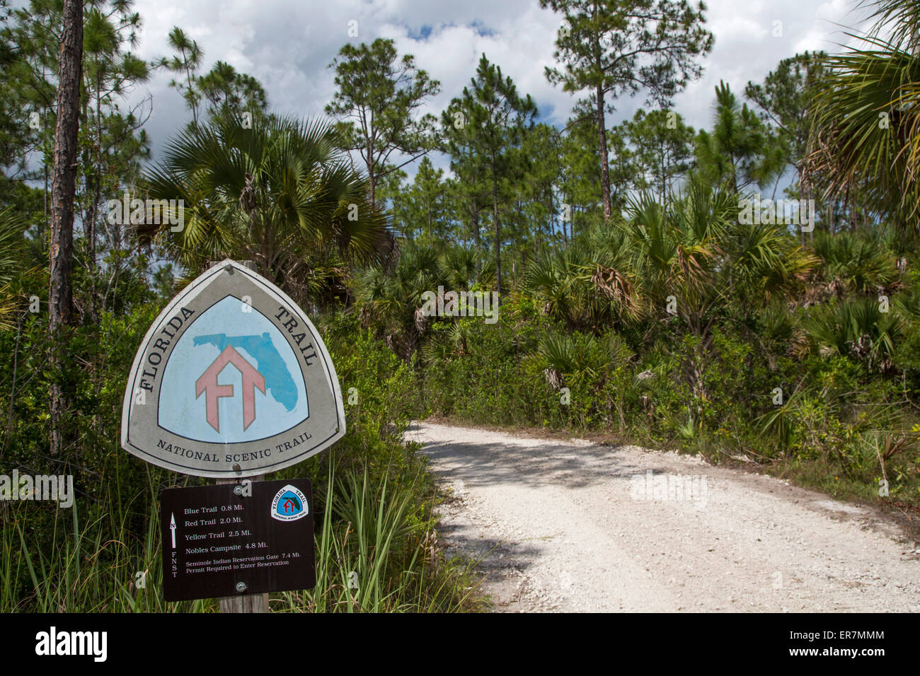 Big Cypress National Preserve, Florida - A section of the Florida National Scenic Trail. Stock Photo