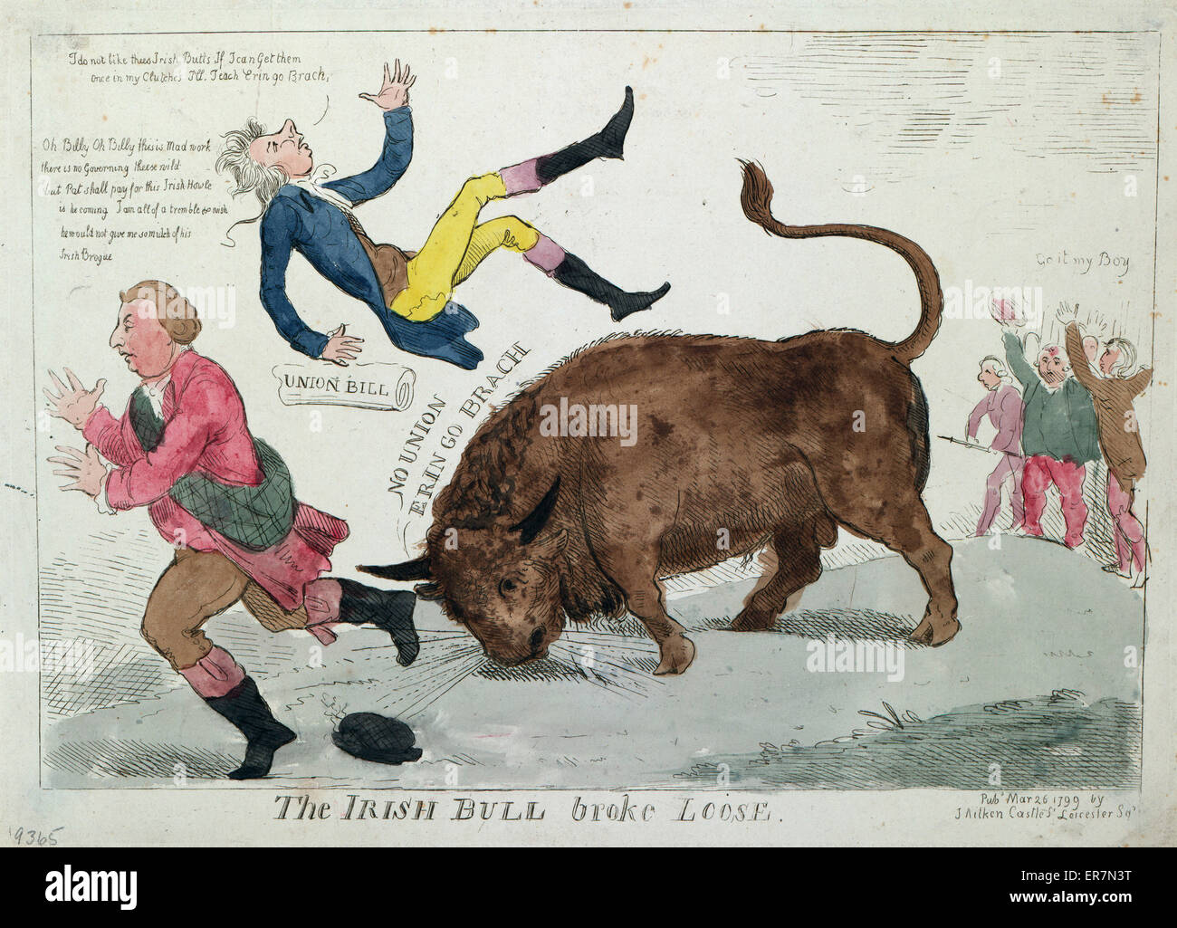 The Irish bull broke loose Stock Photo