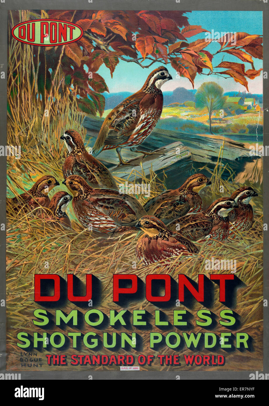 Du Pont smokeless shotgun powder - the standard of the world Stock Photo
