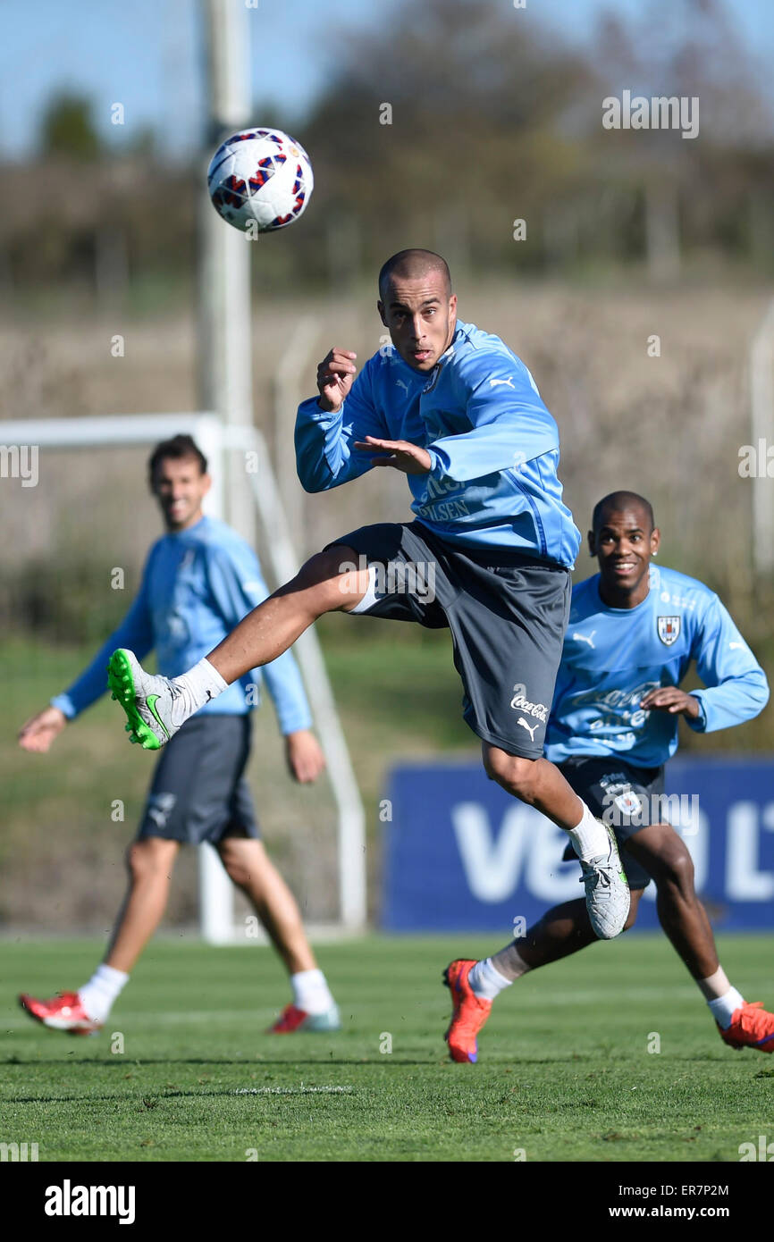 Canelones, Uruguay. 28th May, 2015. Uruguayan National Football Team player Ricardo Guzman Pereira (C) takes part in a training session, at Uruguay Celeste sports complex, in Canelones, 30km from Montevideo, capital of Uruguay, on May 28, 2015. Uruguayan National Football Team prepared to take part in the Copa America 2015, to be held from June 11 to July 4 in Chile. © Nicolas Celaya/Xinhua/Alamy Live News Stock Photo