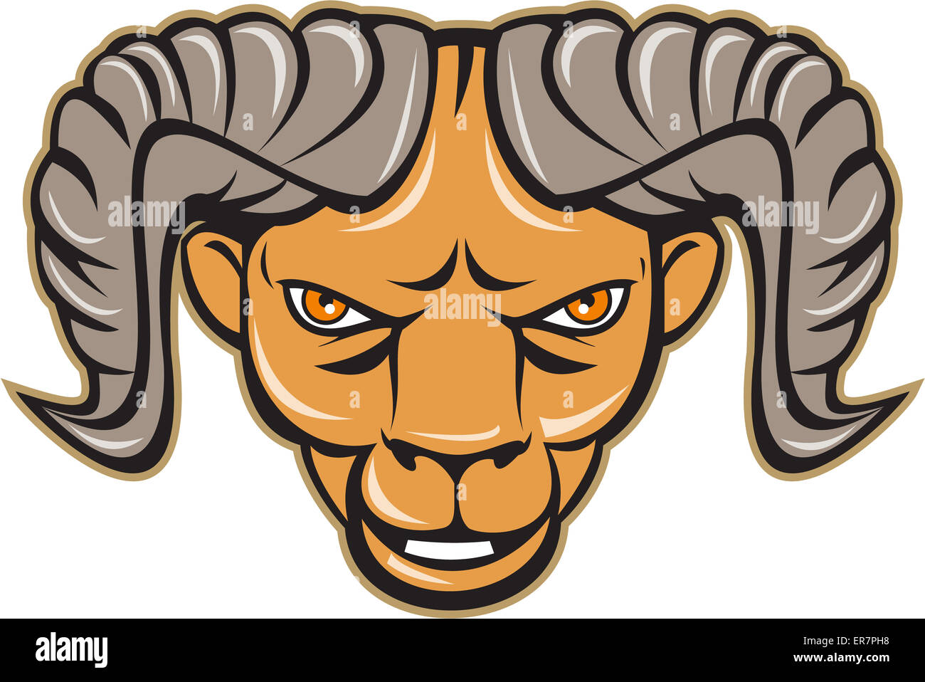 Illustration of a ram head facing front set on isolated white background done in cartoon style. Stock Photo