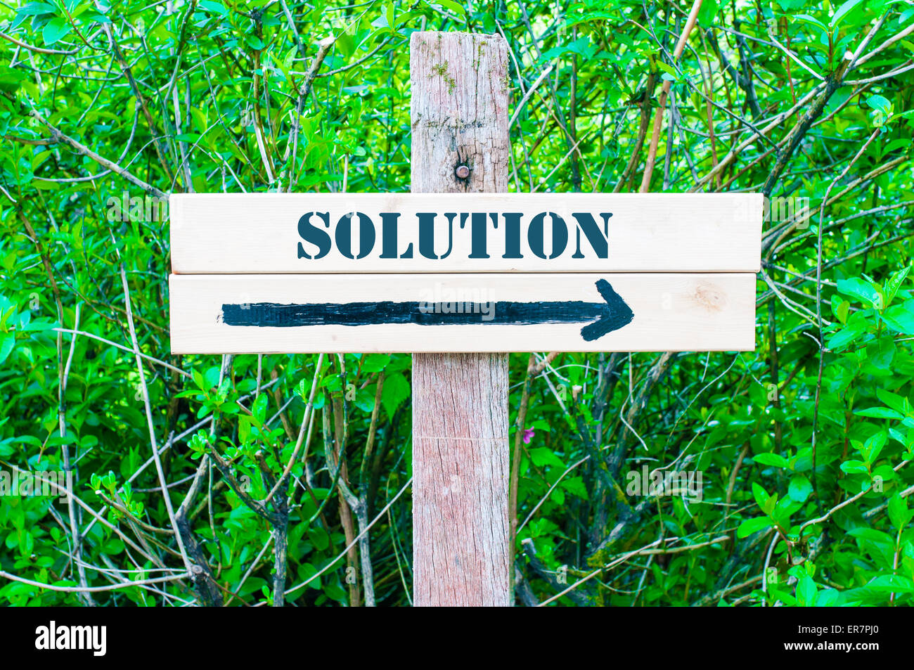SOLUTION written on Directional wooden sign with arrow pointing to the ...